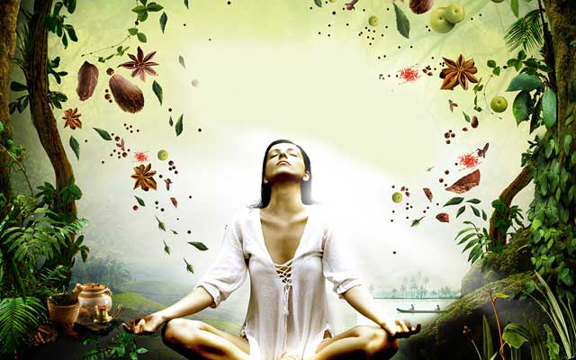 Ayurveda and The Body Constitution